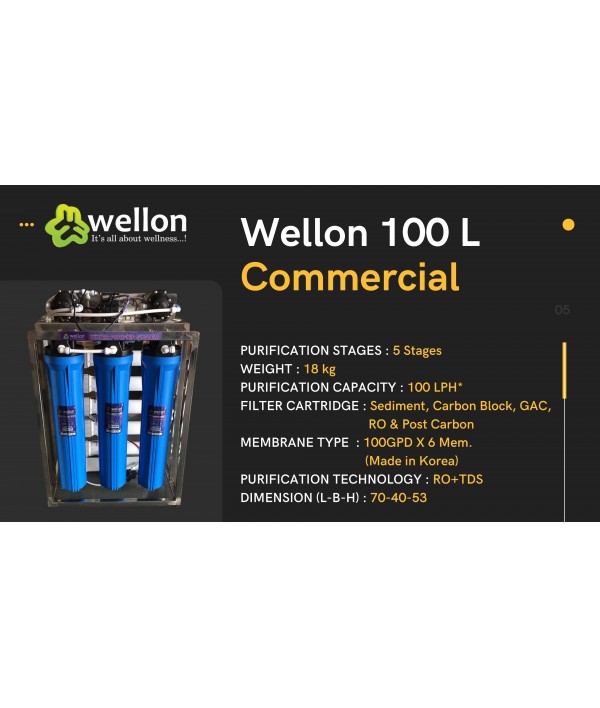 Wellon 100 L Commercial Water Purifier